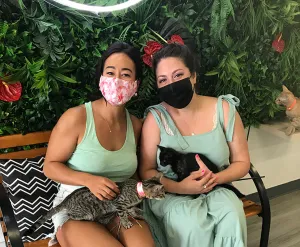 Adult Face Masks - Hibiscus Prints