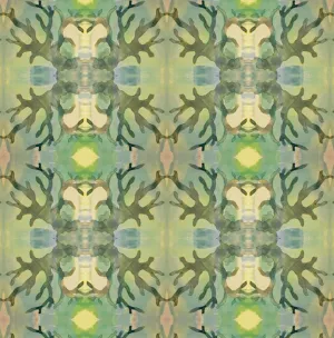 Algae, Celadon