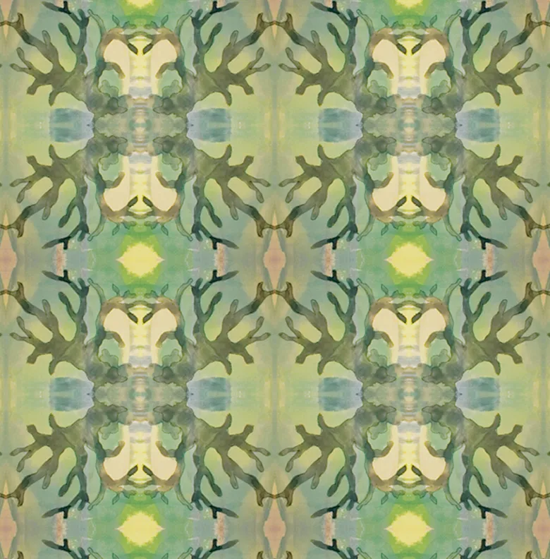 Algae, Celadon