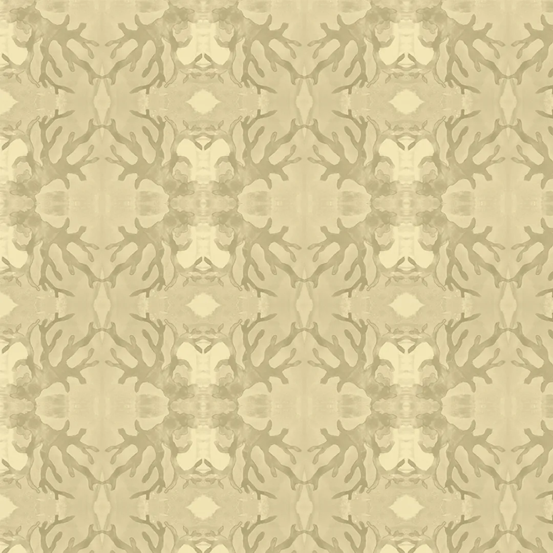Algae, Sand