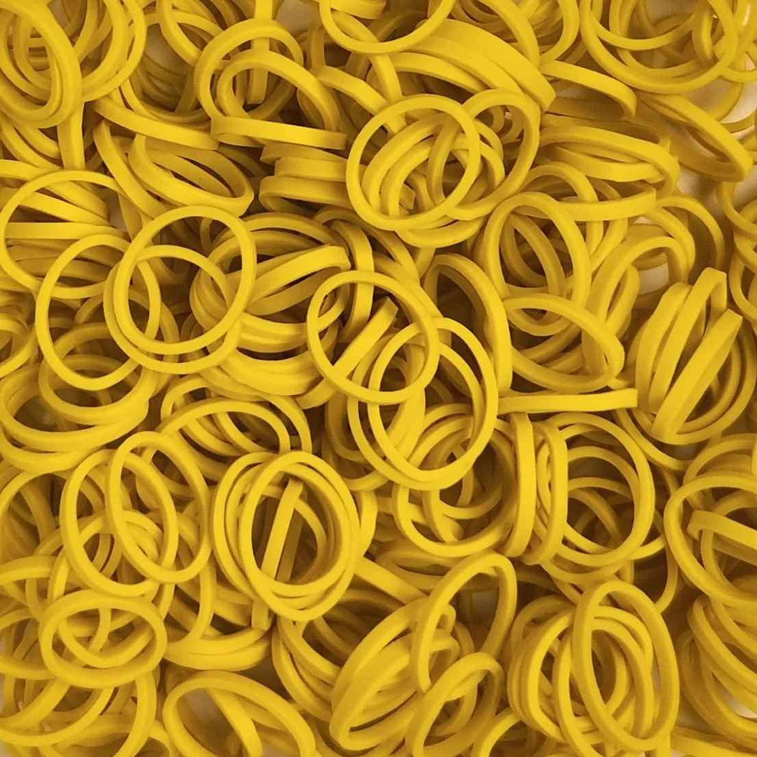 Amelia Beauty | 1/2in, 1000ct Elastic Rubber Band Pony Tail Holders | Made in USA | Dozen Pack