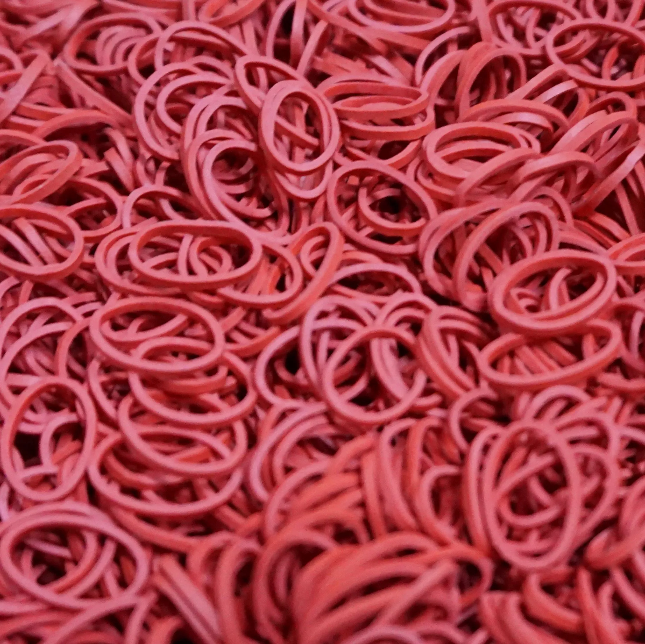 Amelia Beauty | 1/2in, 1000ct Elastic Rubber Band Pony Tail Holders | Made in USA | Dozen Pack