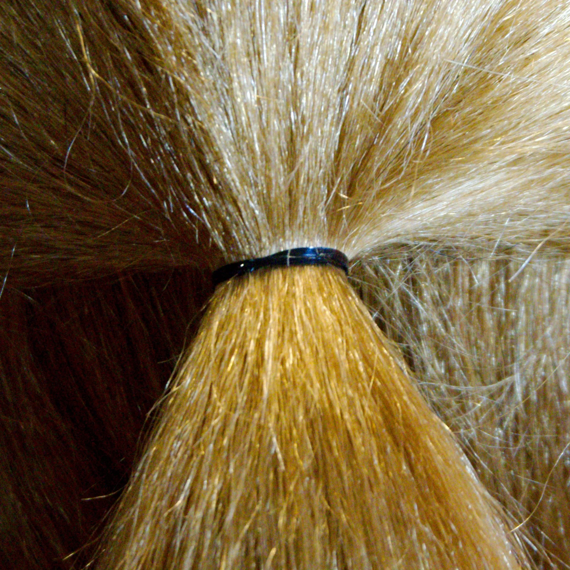 Amelia Beauty | 1/2in, Black, Tangle Free Elastic Pony Tail Holders | Made in USA, Ideal for Ponytails, Braids, Twists. For Women, Girls. Pain Free, Snag Free, Easy Off | 500 Pack