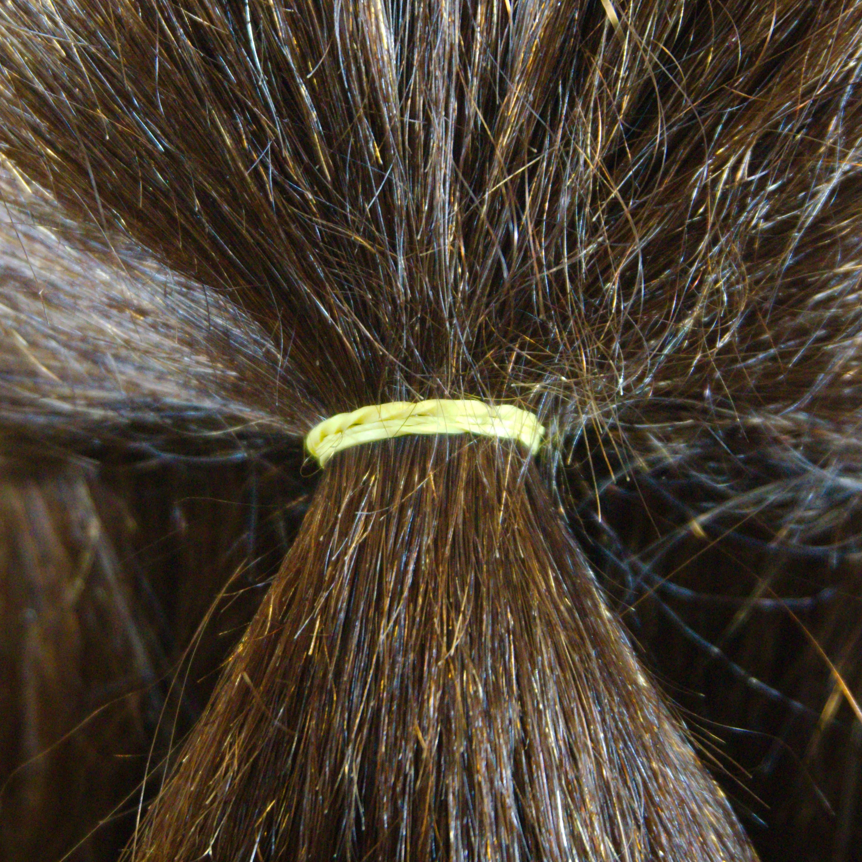 Amelia Beauty | 1/2in, Yellow, Elastic Rubber Band Pony Tail Holders | Made in USA, Ideal for Ponytails, Braids, Twists, Dreadlocks, Styling Accessories for Women, Men and Girls | 500 Pack