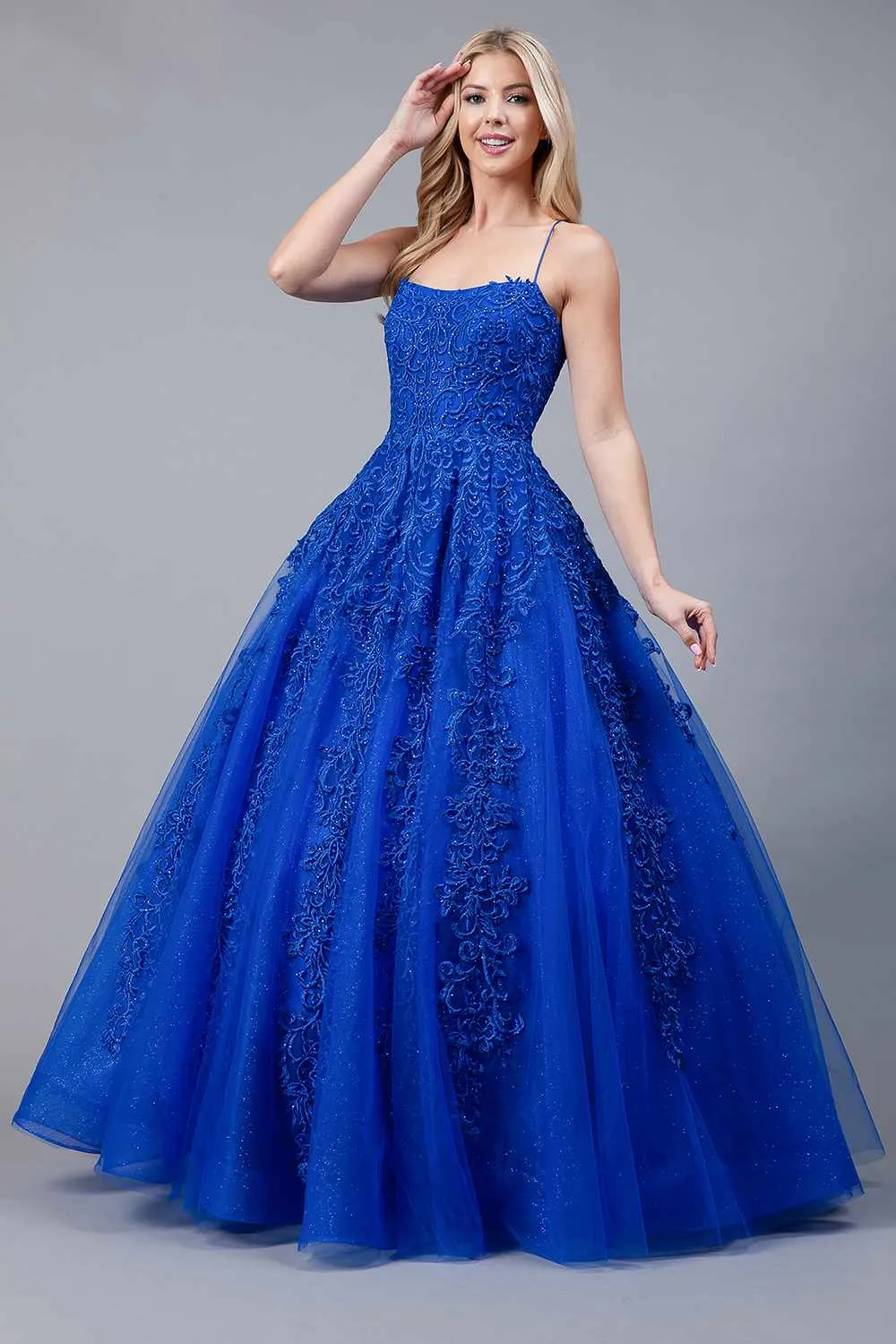 Amelia Couture BZ016 Long A-Line Ballgown Boat Neckline Embroidery