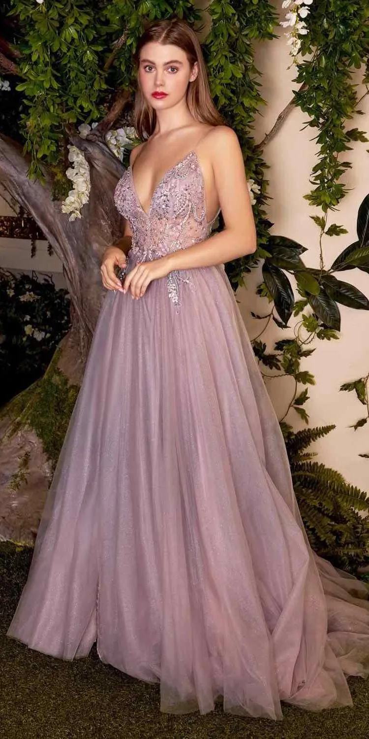 Andrea & Leo A0850 Appliqued Long Dress Sheer-Midriff