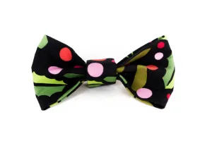 Bow Tie in Cider