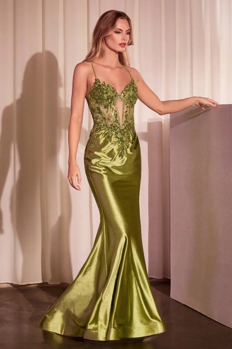 CD CC2401 - Satin Fit & Flare Prom Gown with Sheer Beaded Lace Bodice & Open Lace detailed Back