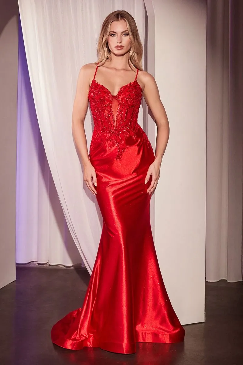 CD CC2401 - Satin Fit & Flare Prom Gown with Sheer Beaded Lace Bodice & Open Lace detailed Back