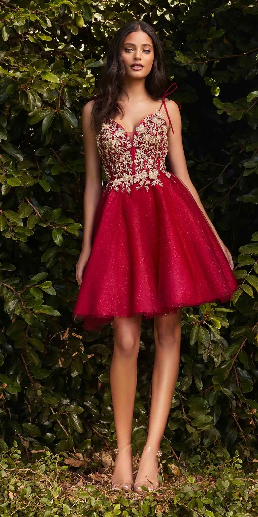 Cinderella Divine CD0188 Short A-Line Tulle and Lace Dress
