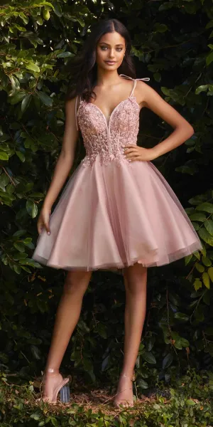 Cinderella Divine CD0188 Short A-Line Tulle and Lace Dress
