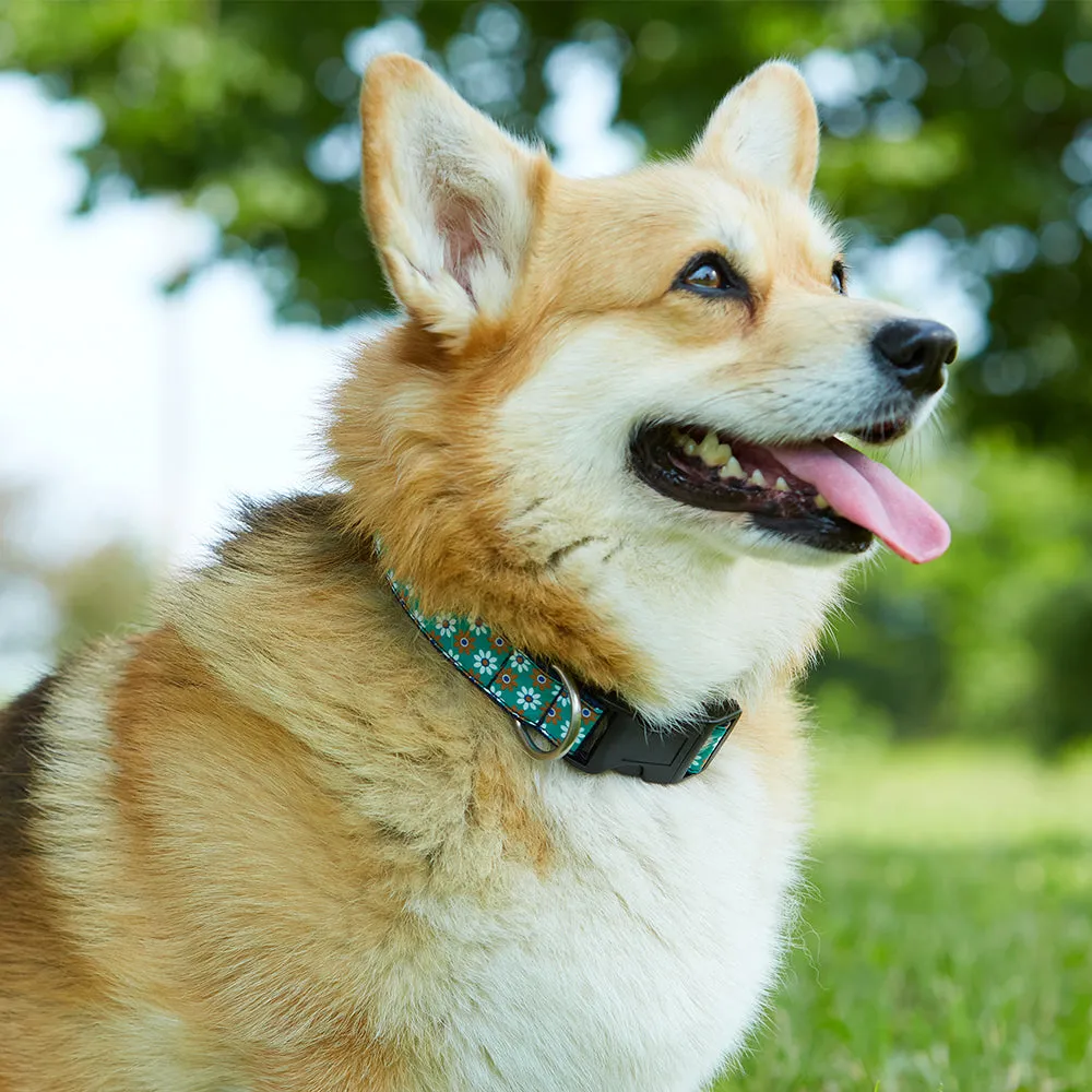 Colinette Sand - Dog Collar