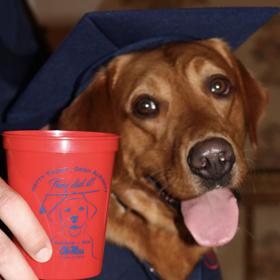 Create Your Own Custom 16 oz. Stadium Cups
