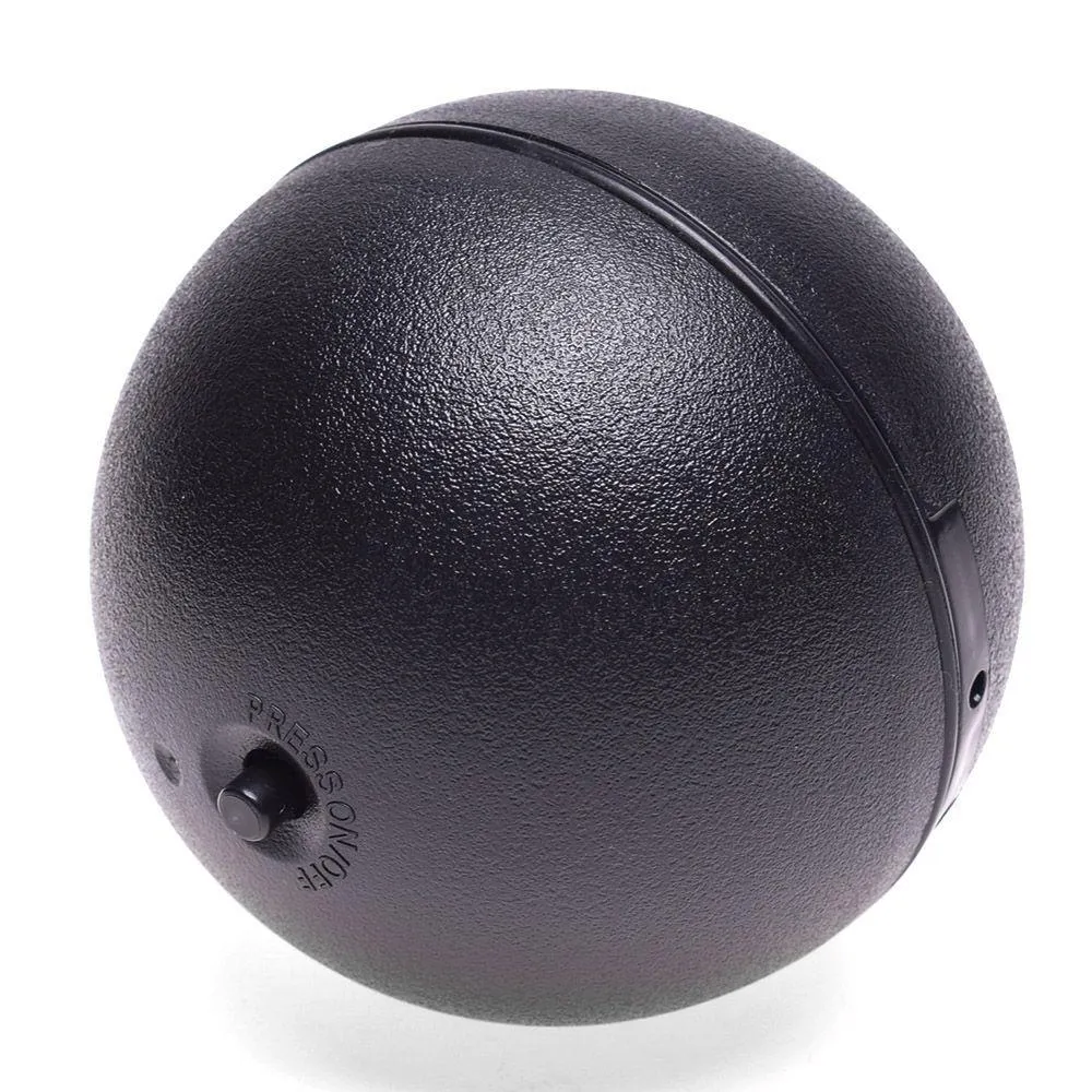 Fluffy Pet Activation Toy