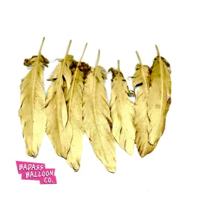 Gold Feathers