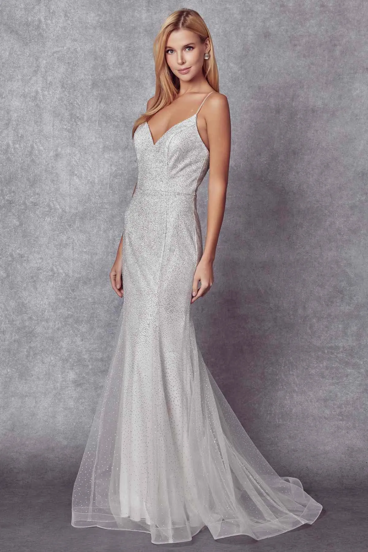 Juliet 271W Glitter Mesh Fitted Wedding Gown