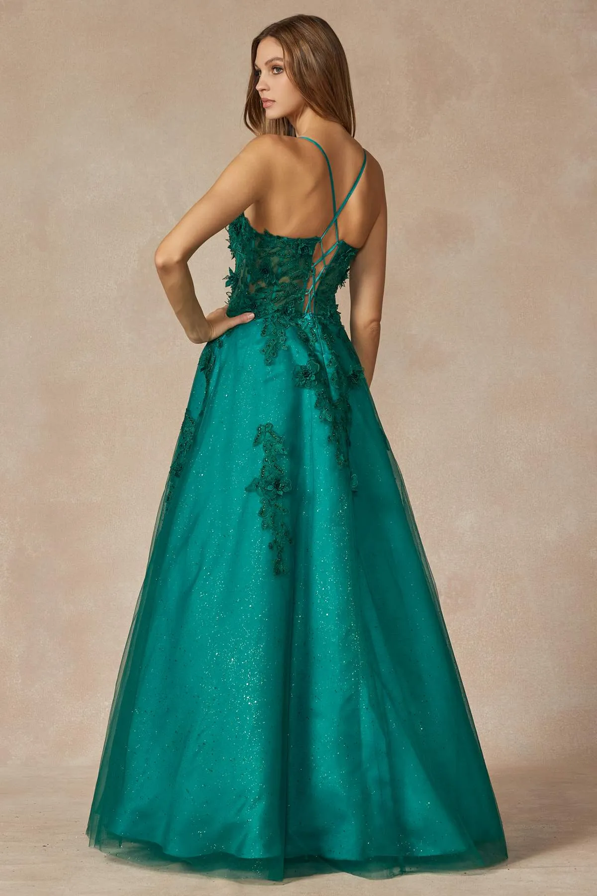 Juliet 285 Floor Length A-Line 3D Floral Applique Ball Gown