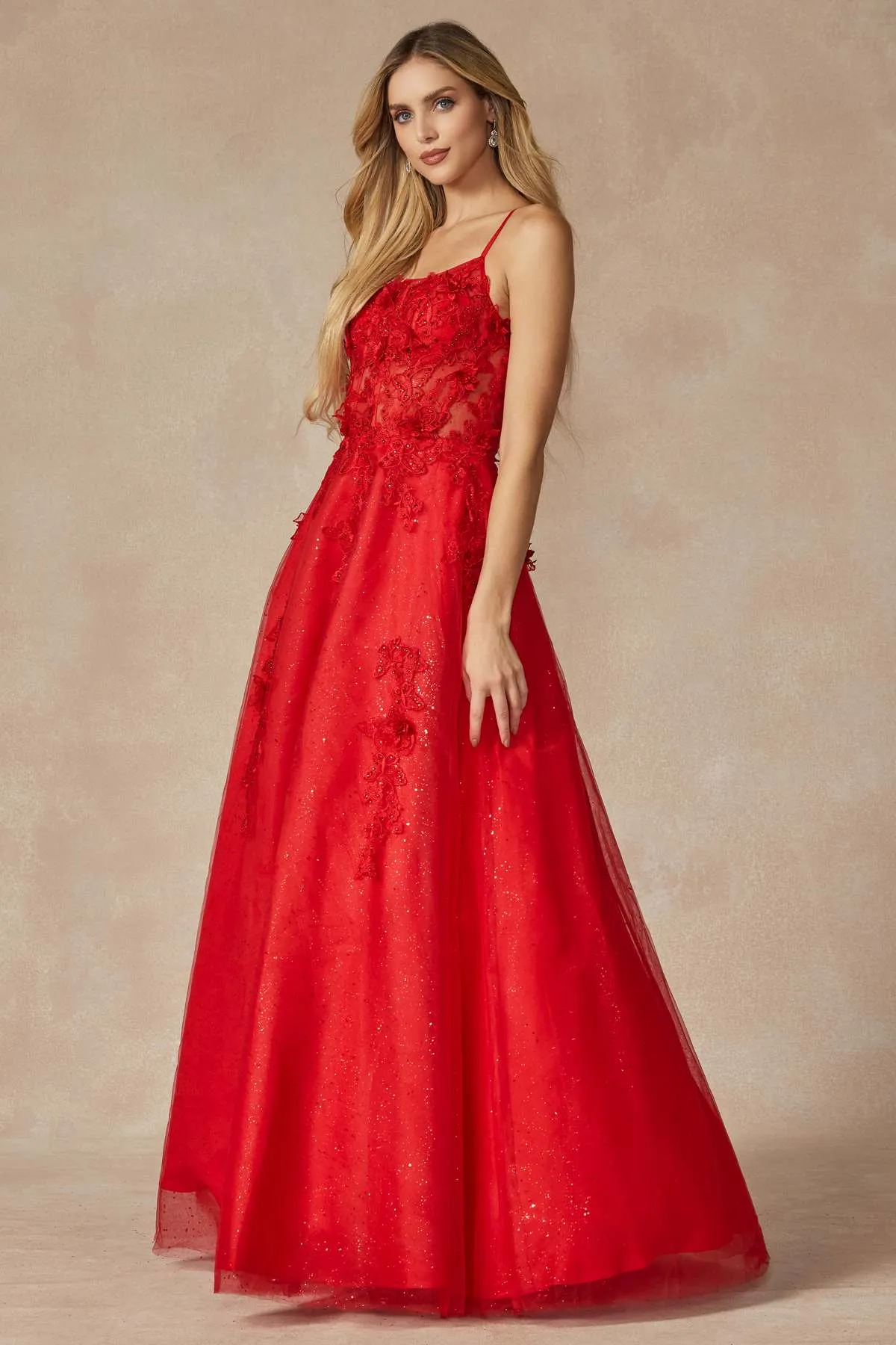 Juliet 285 Floor Length A-Line 3D Floral Applique Ball Gown