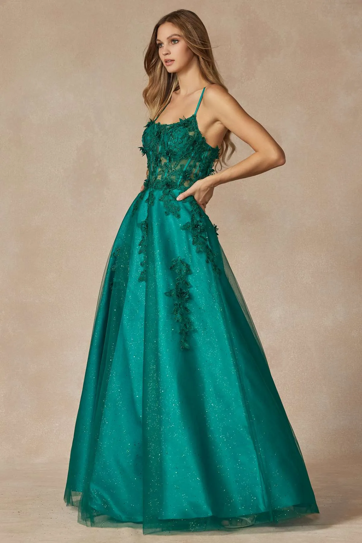 Juliet 285 Floor Length A-Line 3D Floral Applique Ball Gown