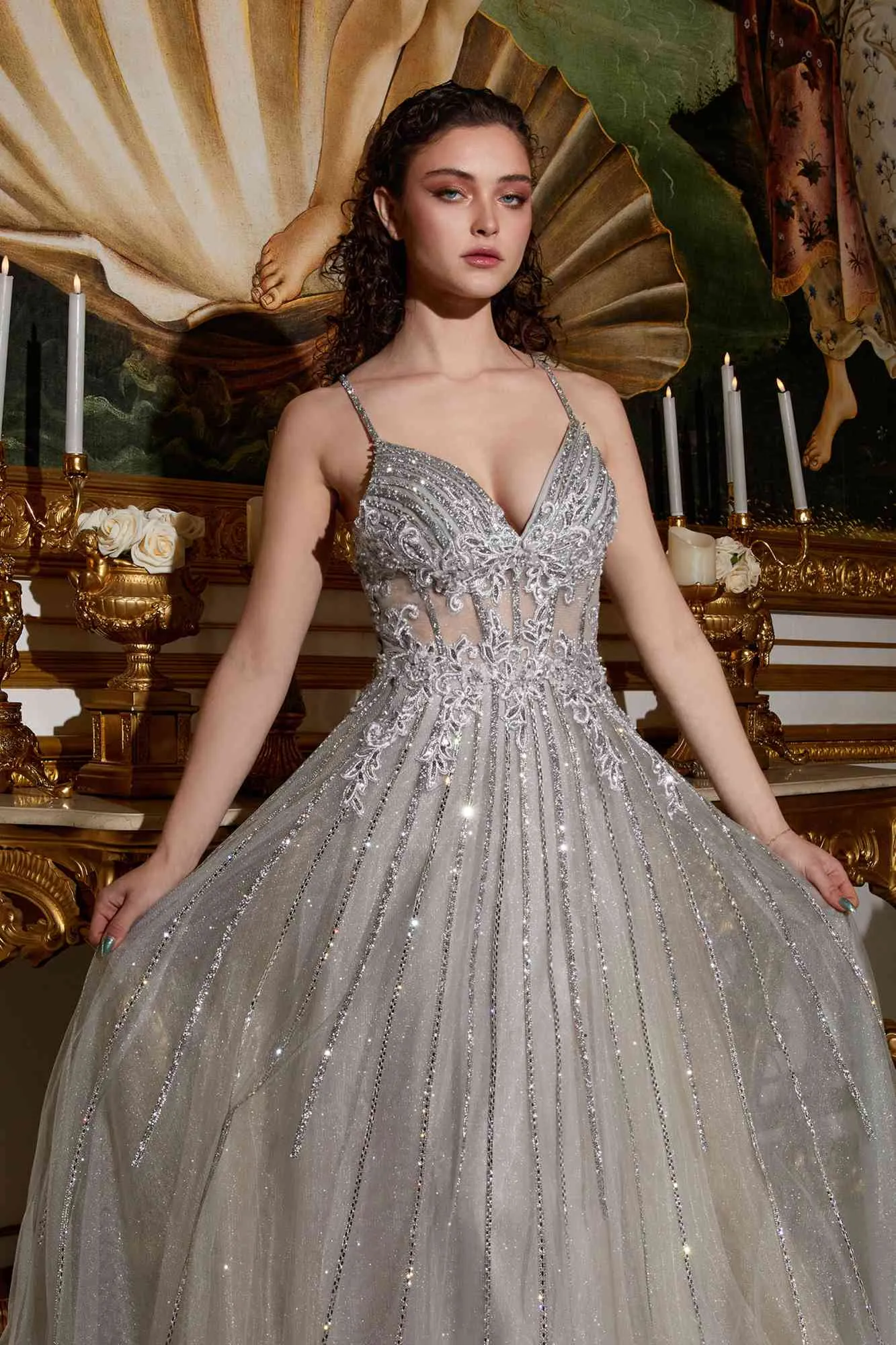 Ladivine CD994 Long A-Line Beaded Tulle Gown Lace Detail V-Neck