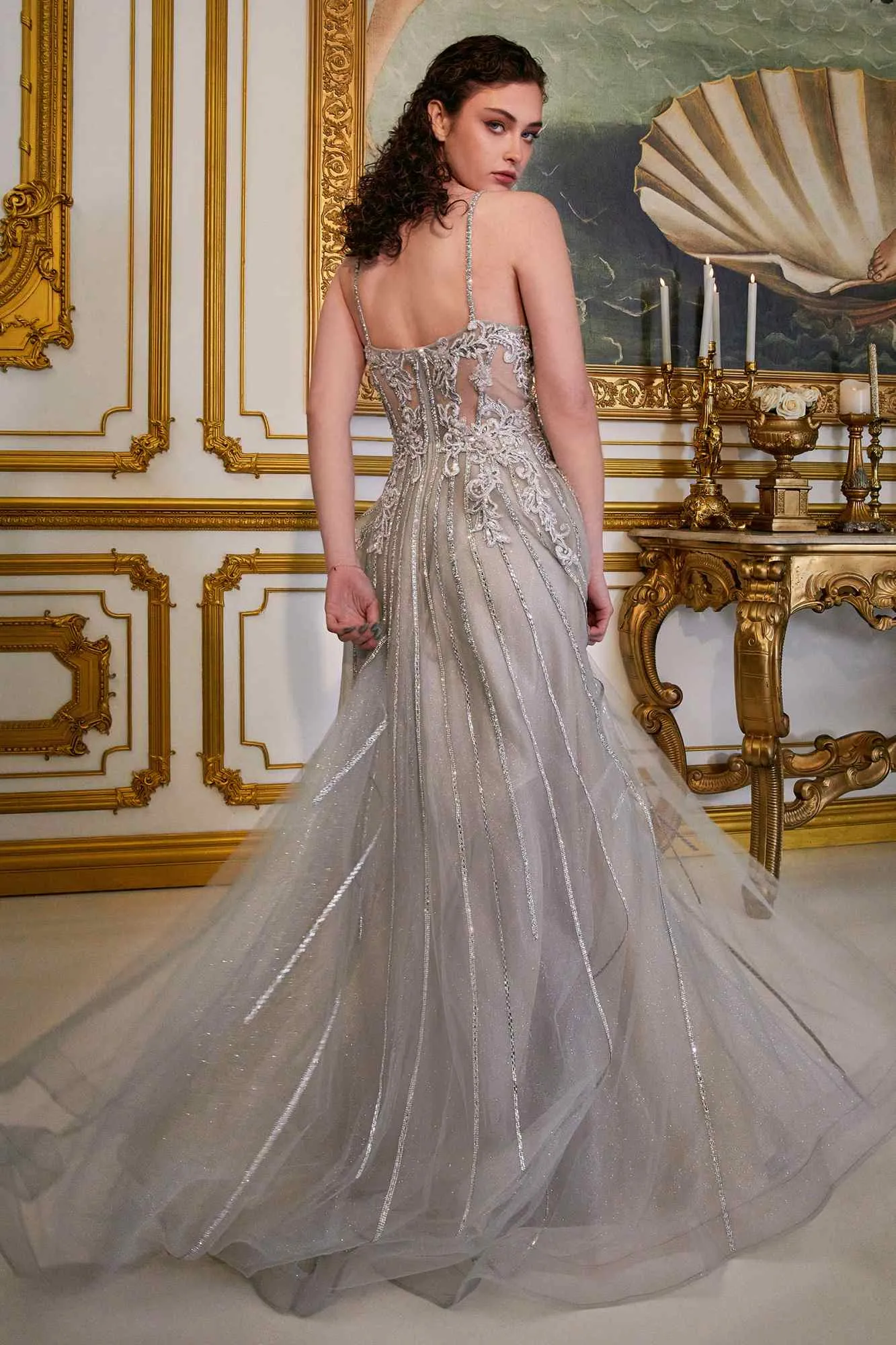 Ladivine CD994 Long A-Line Beaded Tulle Gown Lace Detail V-Neck