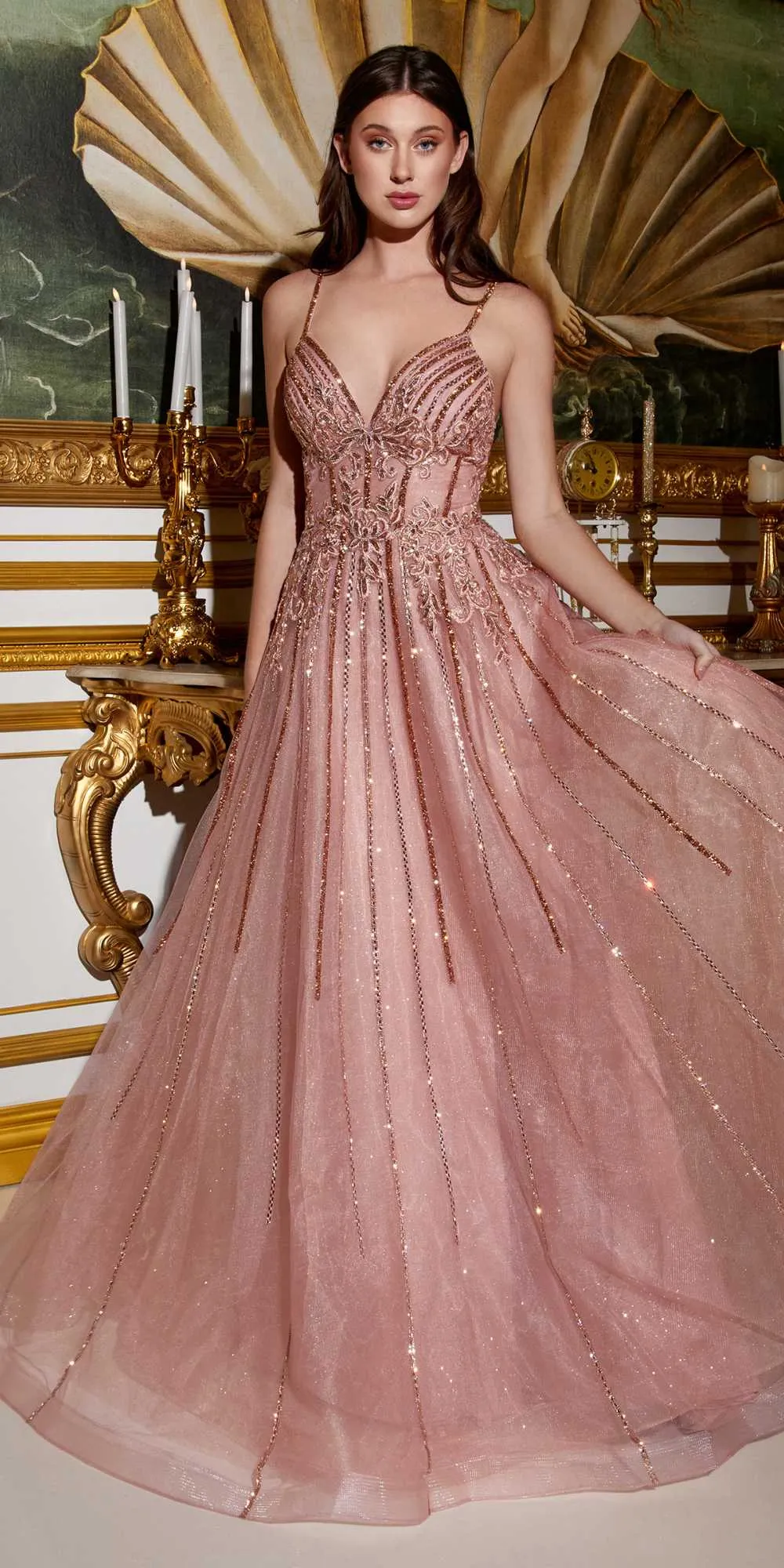 Ladivine CD994 Long A-Line Beaded Tulle Gown Lace Detail V-Neck