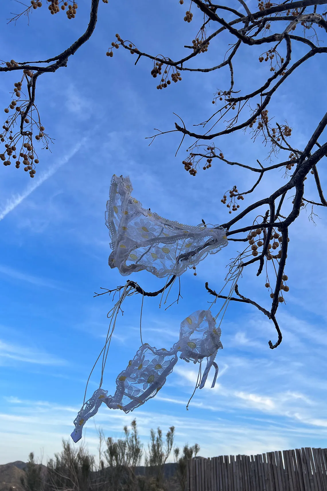 LAST ONE Anaphora Bralette in Sheer Upcycled Vintage Daisy Tulle Mesh