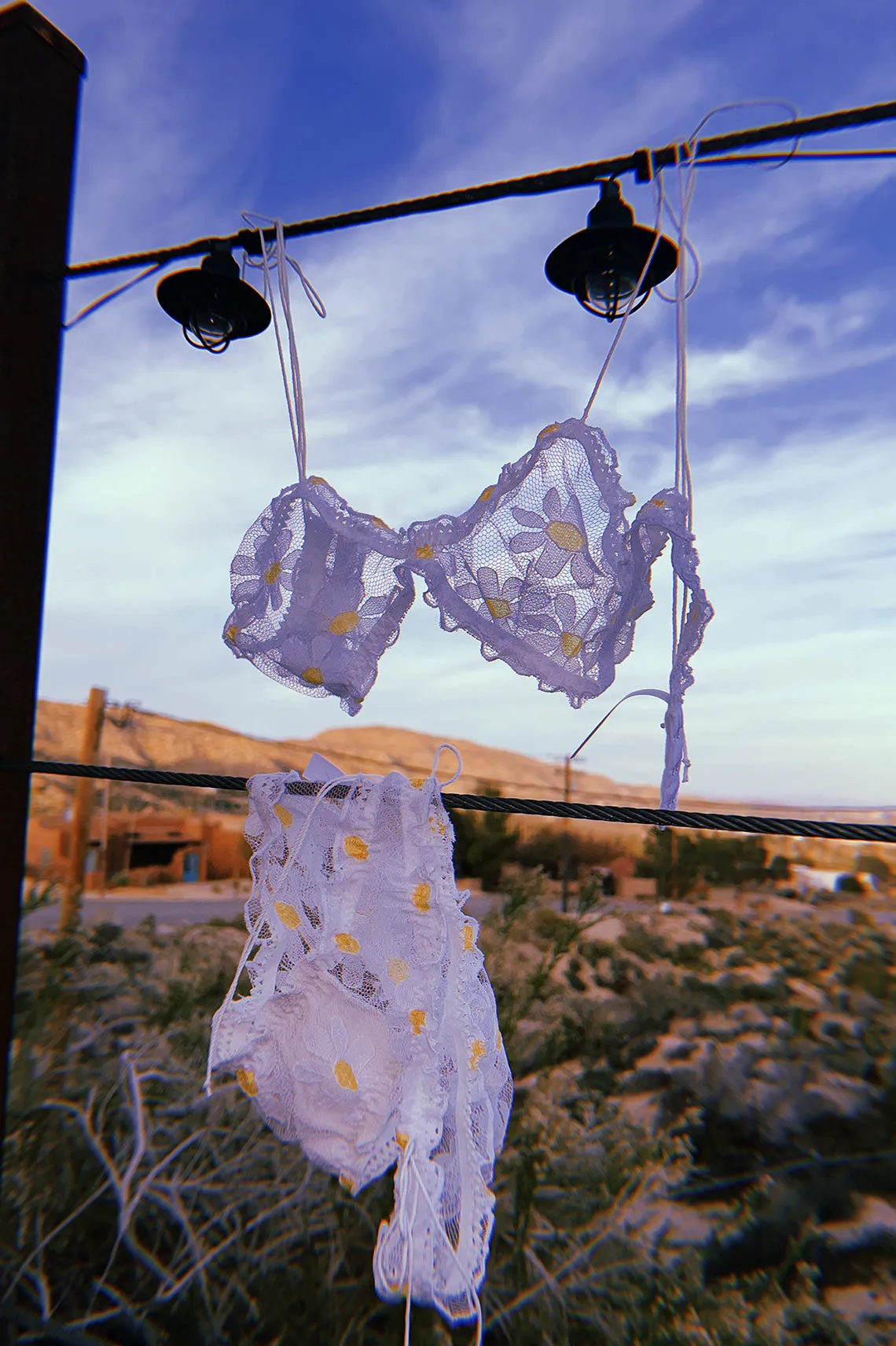 LAST ONE Anaphora Bralette in Sheer Upcycled Vintage Daisy Tulle Mesh