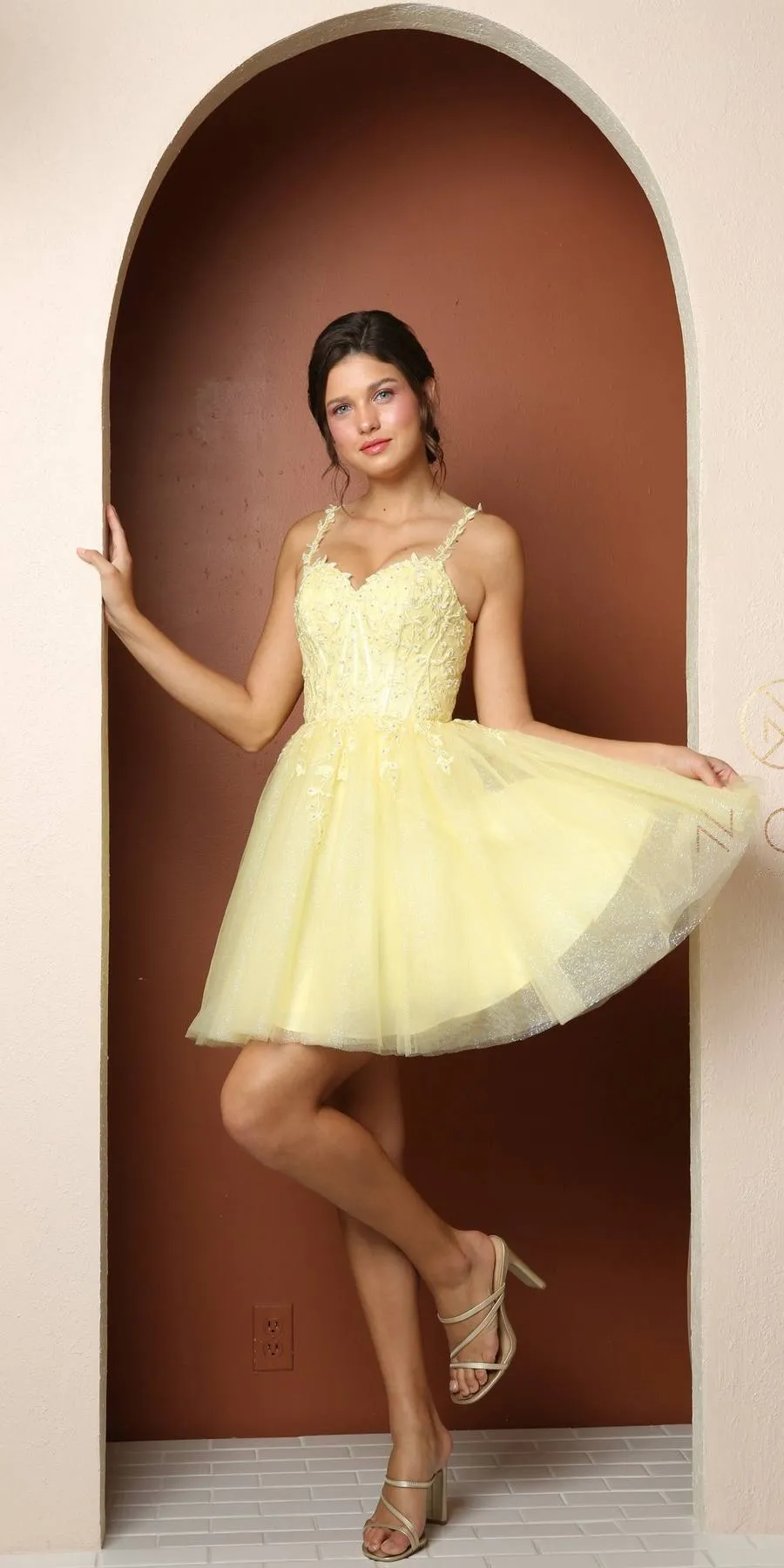 Nox Anabel T744 Bustier Corset Fit And Flare Short Dress