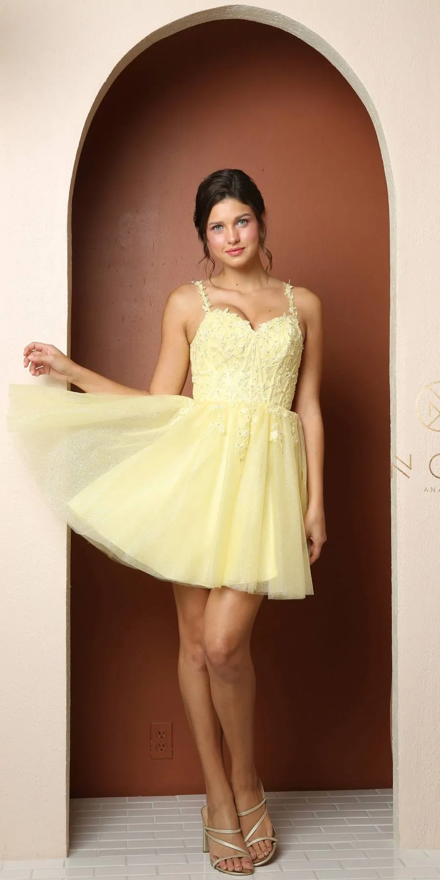 Nox Anabel T744 Bustier Corset Fit And Flare Short Dress