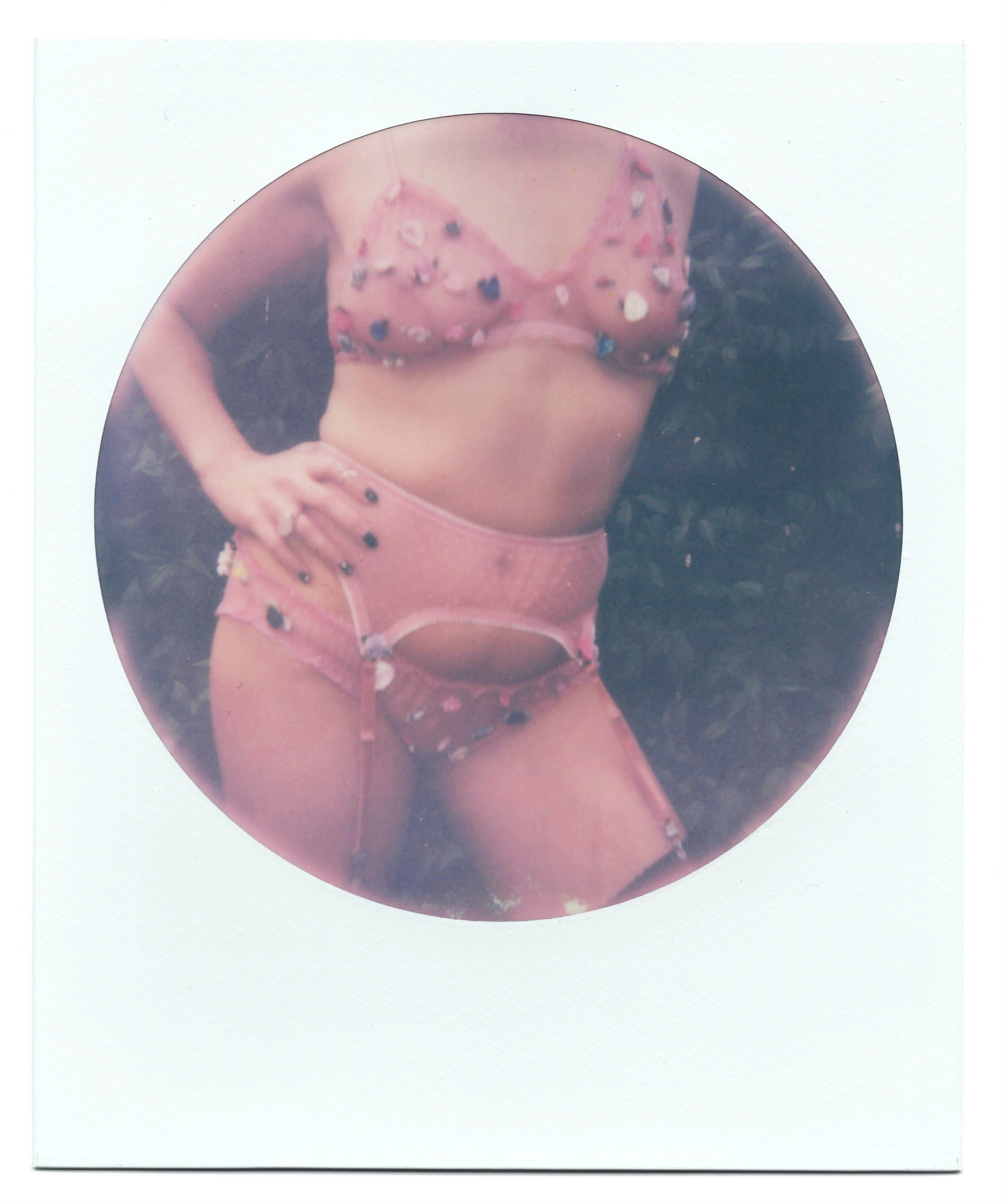 Rosette Garter Belt in Swiss Dot Mesh