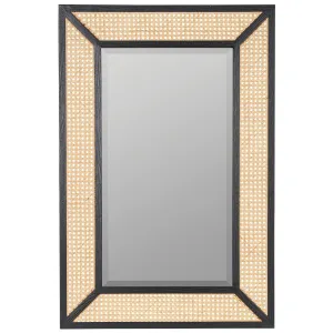 Seaside Caned 36" x 24" Dani Wall Mirror, Black