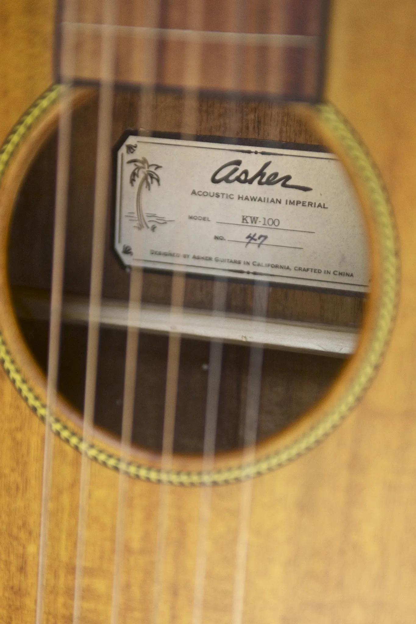 SOLD Asher Acoustic Hawaiian Imperial Lap Steel with custom Snowflake Inlay #047