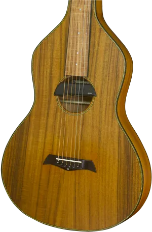 SOLD Upgraded Acoustic Hawaiian Imperial Lap Steel w/ EMG Pickup - #027