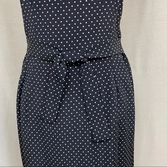 Vintage Polka Dot Wrap Dress